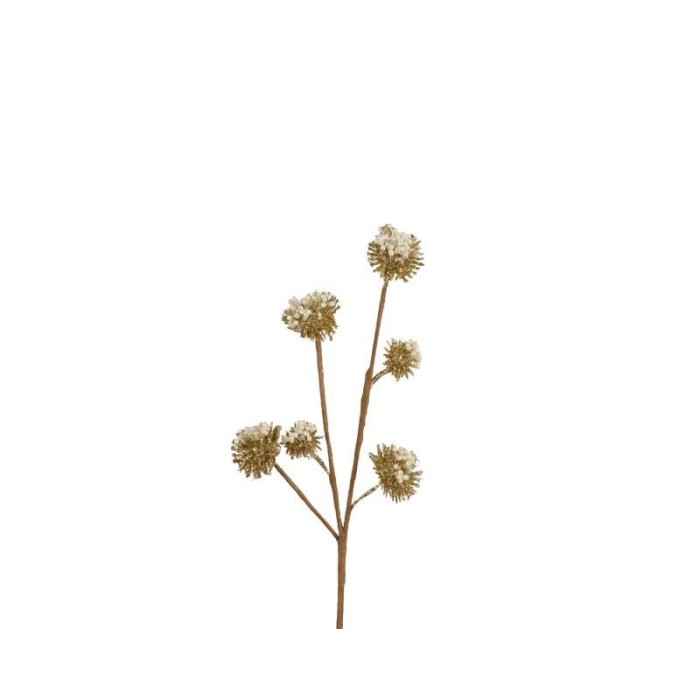 ALLIUM RAMO X 6 BIANCO ORO H.30